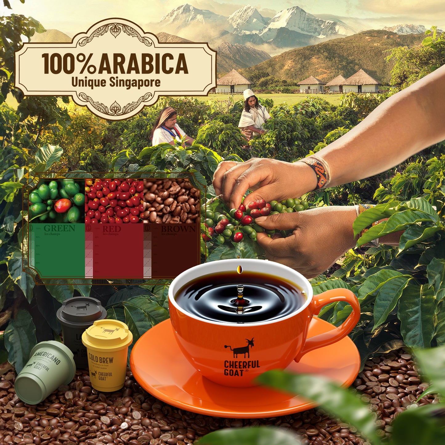 CheerfulGoat Instant Cold Brew Coffee – 100% Pure Arabica, Freeze-Dried for Ultimate Freshness, No Sugar, No Additives, Low Acid, Smooth & Rich, Healthy for Iced & Hot Coffee, Home Outdoor,30 Servings