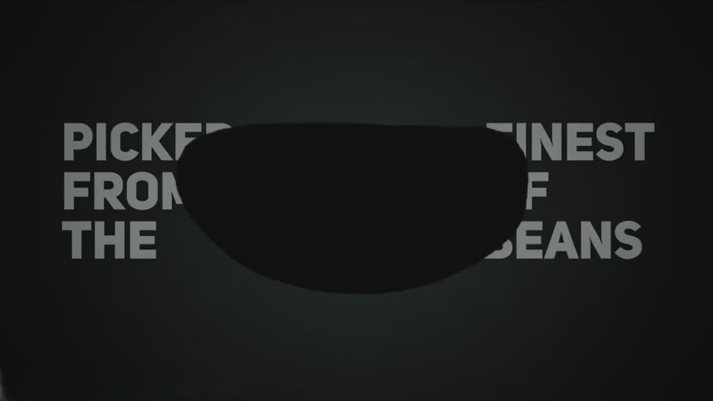 Freeze Dried Cold Brew Instant 15pcs Medium-Dark